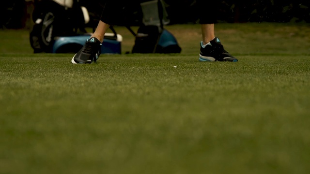 Video Reference: Footwear, Leg, Grass, Shorts, Sneakers, Outdoor shoe, Plant, Walking shoe, Player, Knee