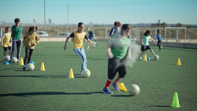 Video Reference: Sports equipment, Sky, Football, Shorts, Plant, Ball, Player, Ball game, Mammal, Soccer