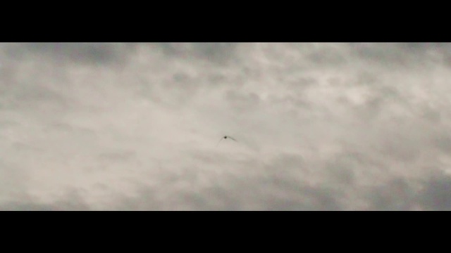 Video Reference: Cloud, Sky, Bird, Cumulus, Wing, Tints and shades, Landscape, Font, Meteorological phenomenon, Darkness