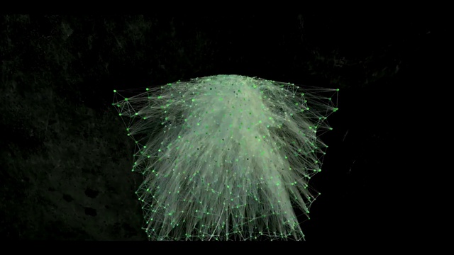 Video Reference: Water, Feather, Natural material, Font, Art, Plant, Terrestrial plant, Event, Midnight, Darkness