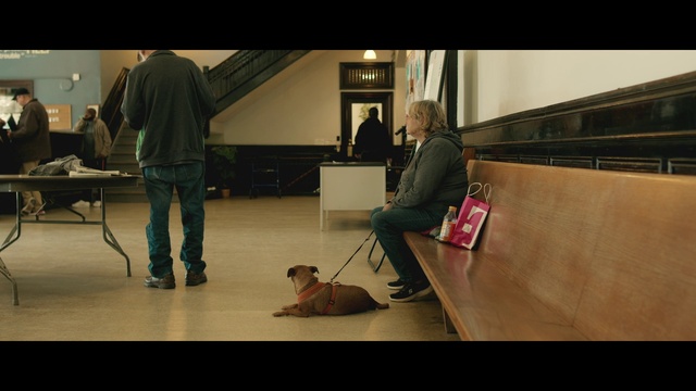 Video Reference: Trousers, Dog, Couch, Flooring, Floor, Carnivore, Chair, Bag, Hardwood, Luggage and bags