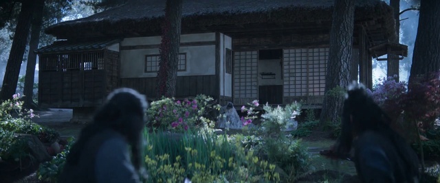 Video Reference: Plant, Window, Building, Purple, Tree, Grass, Flower, Groundcover, Landscape, House
