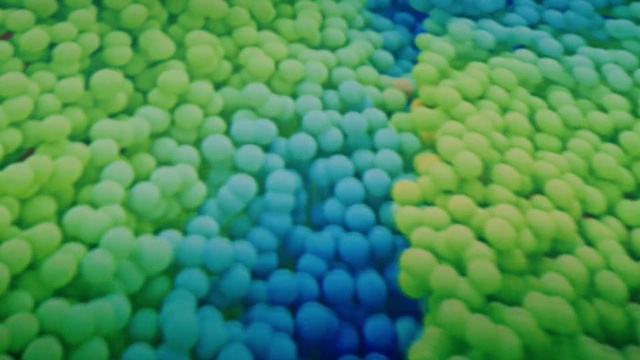 Video Reference: Ball, Balloon, Aqua, Electric blue, Circle, Grass, Pattern, Toy, Local food, Event