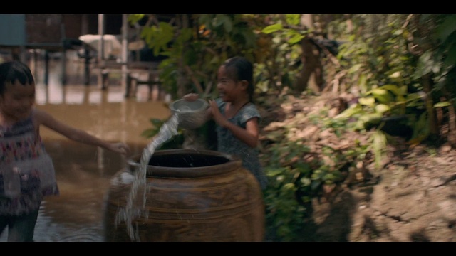 Video Reference: Plant, Water, Happy, Grass, Flash photography, Leisure, Drink, Fun, Soil, Sitting