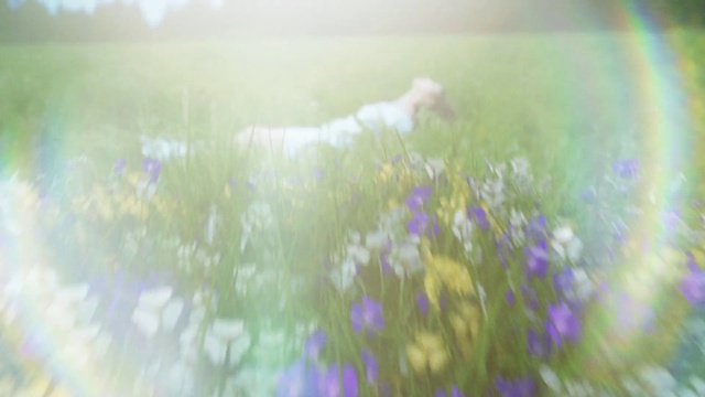 Video Reference: Plant, Atmosphere, Flower, Natural environment, Vegetation, Natural landscape, People in nature, Grass, Atmospheric phenomenon, Tree
