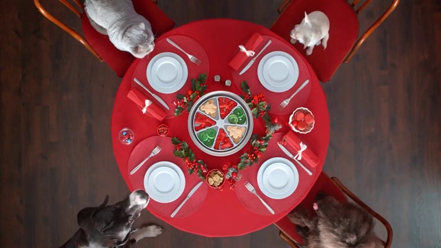 Video Reference: Red, Gadget, Mechanical fan, Automotive wheel system, Auto part, Electronic device, Magenta, Circle, Fashion accessory, Carmine