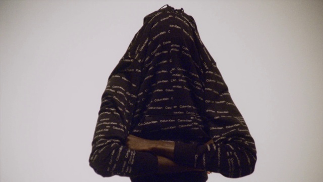 Video Reference: Arm, Sleeve, Gesture, Collar, Plant, Waist, Blazer, Tints and shades, Tree, Pattern