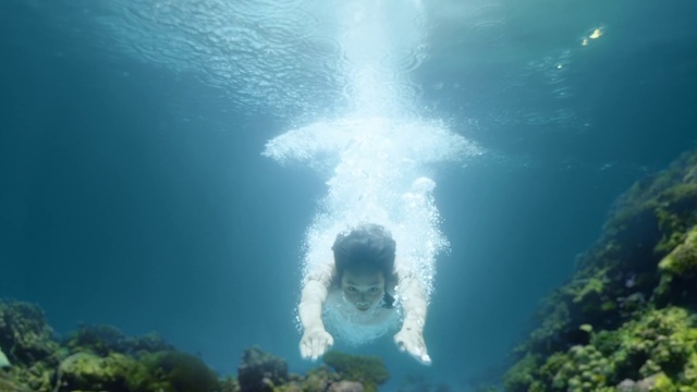 Video Reference: Water, Water resources, Azure, Natural environment, Underwater, Fluid, Organism, Coastal and oceanic landforms, Marine biology, Natural landscape