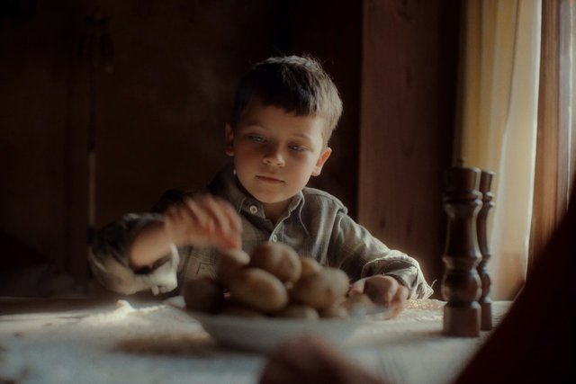 Video Reference: boy, child, indoors, table, window light, warm light, cooking, food, produce, home, portrait, rustic, soft focus, family, lifestyle