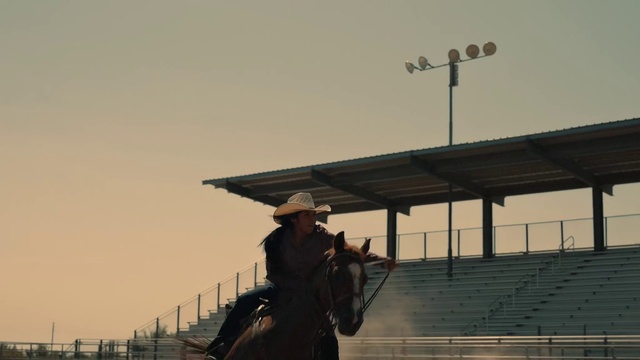 Video Reference: Horse, Sky, Working animal, Horse tack, Horse supplies, Bridle, Landscape, Sculpture, Saddle, Monument