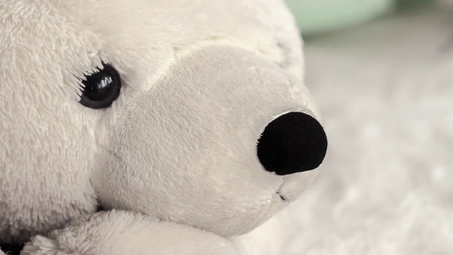 Video Reference: Nose, Toy, Vertebrate, Snout, Stuffed toy, Close-up, Plush, Terrestrial animal, Natural material, Fur