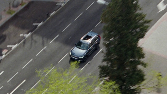 Video Reference: Tire, Plant, Vehicle, Car, Automotive lighting, Road surface, Motor vehicle, Asphalt, Automotive tire, Wheel