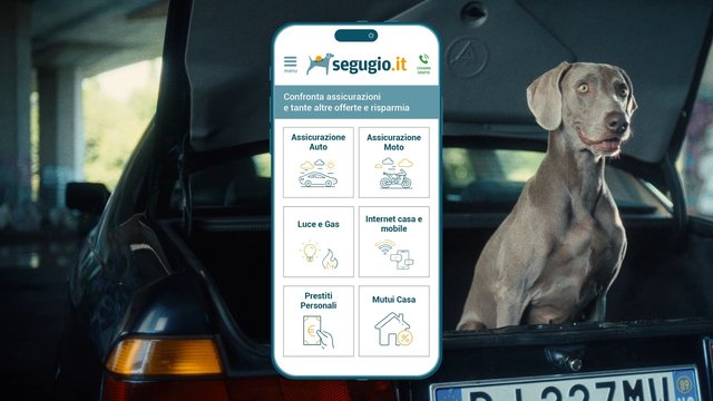 Video Reference: dog, car interior, smartphone, app interface, insurance, comparison, advertisement, mobile app, Italian text, back seat, vehicle, promo, technology, online services