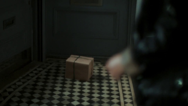 Video Reference: Wood, Floor, Flooring, Hardwood, Darkness, Pattern, Toy, Room, Whiskers, Human leg