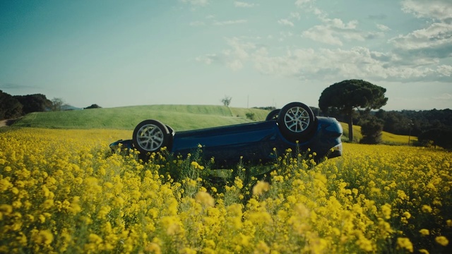 Video Reference: Flower, Plant, Sky, Cloud, Ecoregion, Tire, People in nature, Natural environment, Natural landscape, Wheel