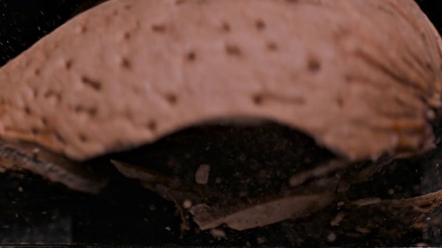 Video Reference: Wheel, Terrestrial plant, Wood, Soil, Terrestrial animal, Rock, Human leg, Grass, Moisture, Macro photography