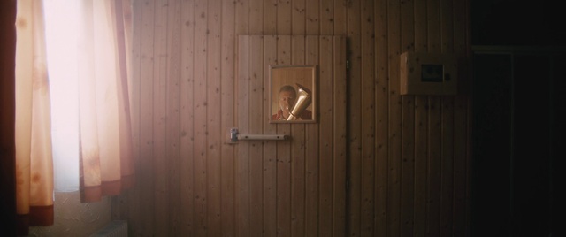 Video Reference: Handle, Wood, Door, Fixture, Wood stain, Dead bolt, Hardwood, Door handle, Home door, Plank