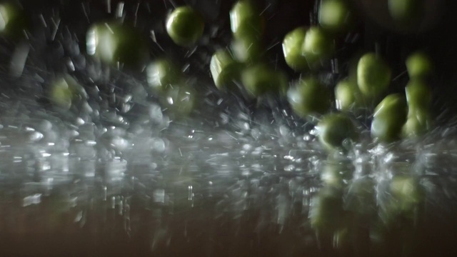 Video Reference: Natural environment, Water, Liquid, Terrestrial plant, Automotive lighting, Glass, Circle, Tree, Event, Close-up