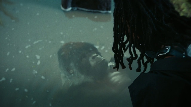 Video Reference: Water, Underwater, Flash photography, Carnivore, Snout, Darkness, Glass, Midnight, Swimming pool, Reflection