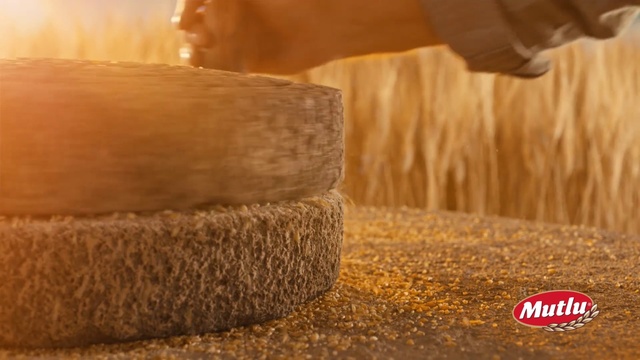 Video Reference: Wood, Flooring, Trunk, Landscape, Hardwood, Tree, Font, Grass, Brick, Soil