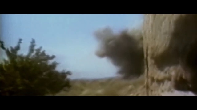 Video Reference: Cloud, Sky, Plant, Natural landscape, Tree, Pollution, Landscape, Grassland, Road, Grass