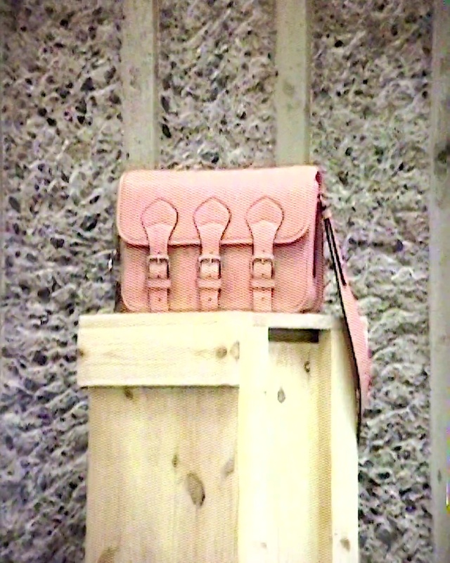 Video Reference: Wood, Pink, Grass, Plant, Font, Tints and shades, Magenta, Rectangle, Bag, Door