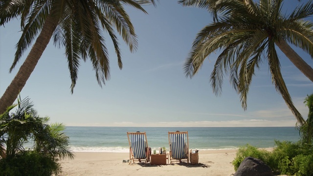 Video Reference: Sky, Plant, Water, Daytime, Light, Azure, Nature, Tree, Beach, Shade