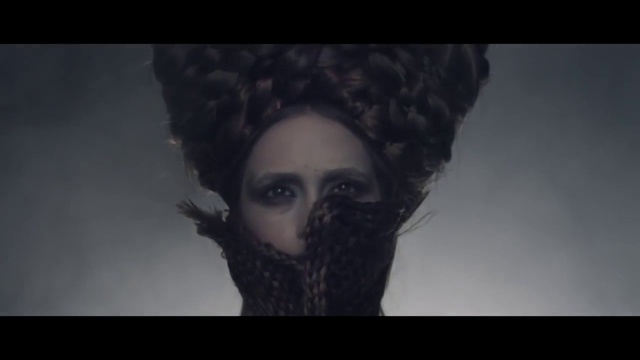 Video Reference: Eyelash, Jaw, Flash photography, Beard, Grey, Headgear, Facial hair, Monochrome photography, Darkness, Fur