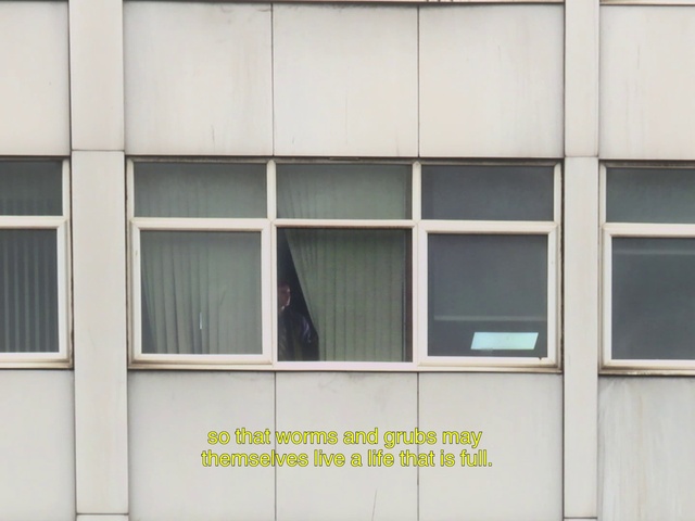 Video Reference: Window, Rectangle, Fixture, Building, Wood, Line, Material property, Automotive exterior, Tints and shades, Facade