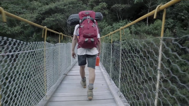 Video Reference: Shorts, Tree, Mammal, Line, Leisure, Fence, Plant, Recreation, Bridge, Mesh