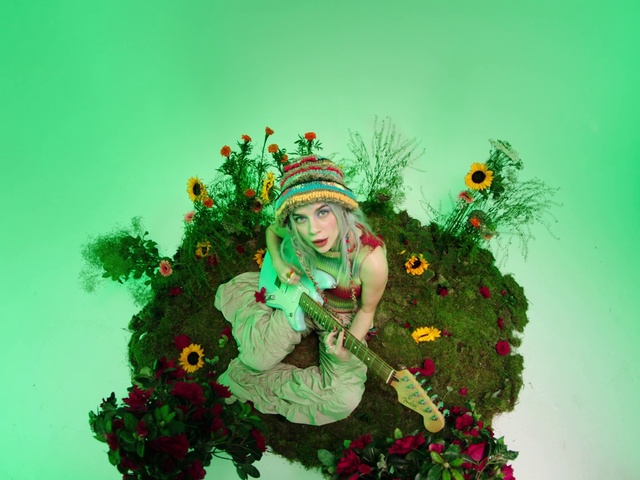 Video Reference: Green, Plant, Christmas ornament, Botany, Branch, Holiday ornament, Evergreen, Christmas decoration, Ornament, Christmas