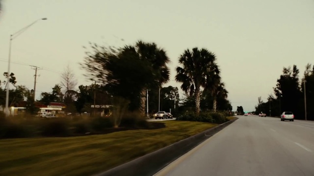 Video Reference: Sky, Plant, Road surface, Infrastructure, Asphalt, Motor vehicle, Tree, Thoroughfare, Car, Neighbourhood