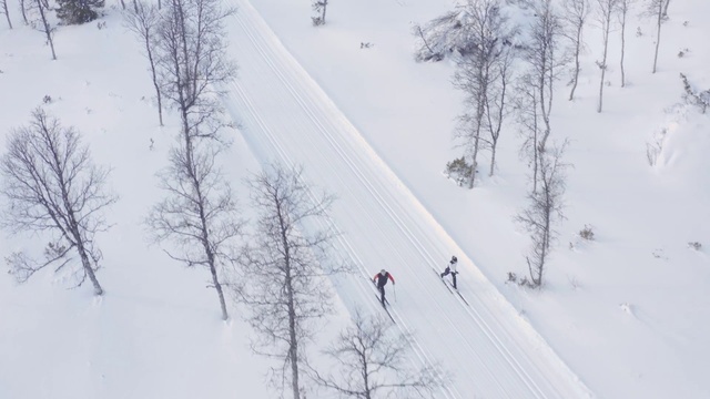 Video Reference: Snow, Slope, Branch, Freezing, Tree, Terrain, Ski Equipment, Recreation, Glacial landform, Geological phenomenon