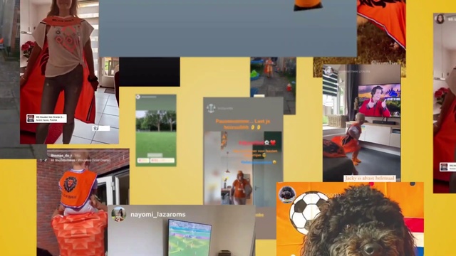 Video Reference: Dog, Product, Orange, Water dog, Yellow, Sports uniform, Red, T-shirt, Adaptation, Art