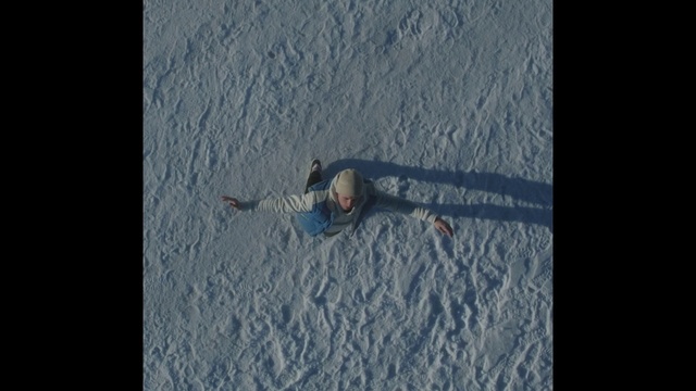 Video Reference: Slope, Wood, Grey, Twig, Freezing, Grass, Asphalt, Electric blue, Recreation, Beak