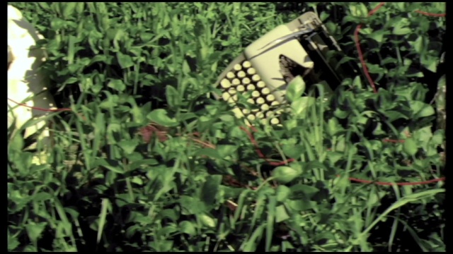 Video Reference: Plant, Plant community, Terrestrial plant, Flower, Groundcover, Grass, Shrub, Grass family, Herbaceous plant, Flowering plant