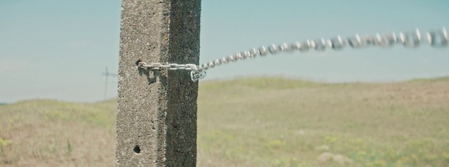 Video Reference: Vertebrate, Sky, Water, Wood, Wire fencing, Trunk, Fence, Twig, Plant, Barbed wire