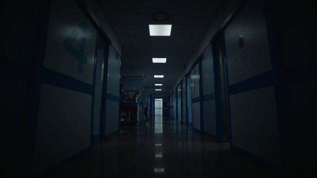 Video Reference: Building, Fixture, Window, Symmetry, Flooring, Space, Plant, Sky, Electric blue, Glass