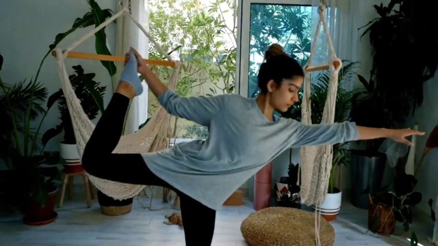 Video Reference: Plant, Houseplant, Window, Flowerpot, Interior design, Comfort, Happy, Chair, Leisure, Waist