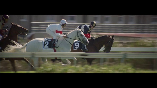 Video Reference: Tire, Helmet, Automotive tire, Vehicle, Sports equipment, Horse, Sports gear, Horse tack, Bridle, Racing
