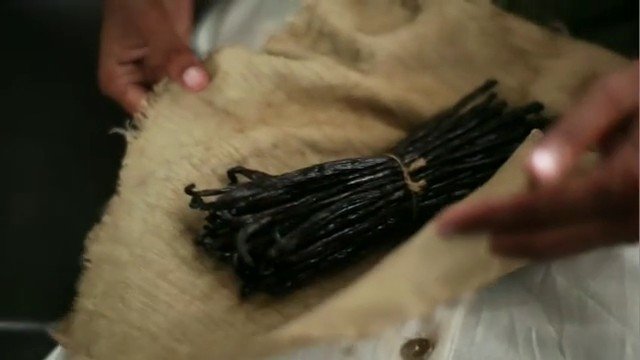 Video Reference: hands, cables, cords, bundle, close-up, fur, surface, wires, package, sorting, indoor