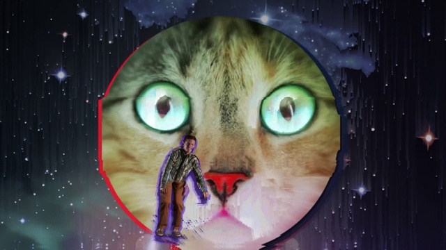 Video Reference: Head, Eye, Mouth, Organ, Eyelash, Human body, Jaw, Felidae, Organism, Flash photography