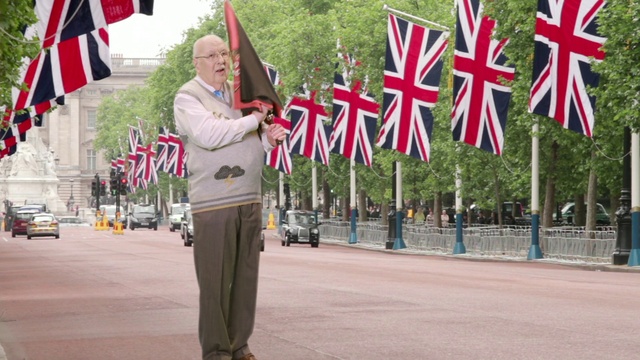 Video Reference: Flag, Flag of the united states, Plant, Gesture, Tree, Military person, Public space, Flag Day (USA), Musician, Musical instrument