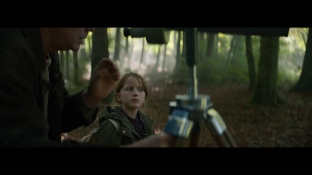 Video Reference: Flash photography, Gesture, Terrestrial plant, Tree, Forest, Plant, Darkness, Fun, Movie, Photo caption