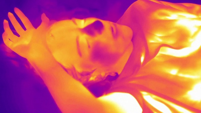 Video Reference: Plant, Petal, Flower, Orange, Gesture, Heat, Flash photography, Electric blue, Fun, Magenta
