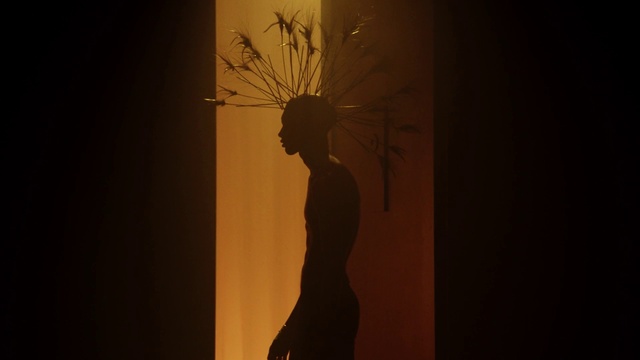 Video Reference: Plant, Twig, Gesture, Wood, Window, Art, Flash photography, Tree, People in nature, Tints and shades