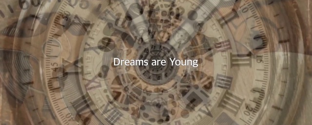 Video Reference: Automotive tire, Wood, Font, Circle, Ceiling, Pattern, Urban design, Symmetry, Human settlement, Art