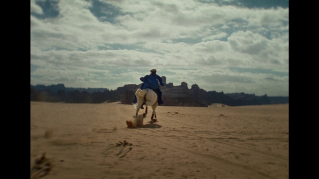 Video Reference: Cloud, Sky, Ecoregion, Working animal, Horse, Travel, People in nature, Tree, Landscape, Horizon