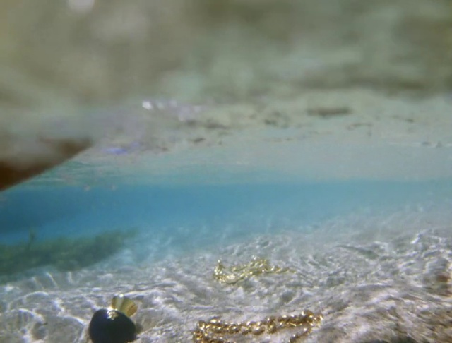 Video Reference: Water, Water resources, Liquid, Fluid, Body of water, Lake, Wind wave, Grass, Leisure, Bathing
