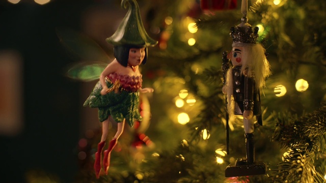 Video Reference: Plant, Light, Christmas ornament, Christmas tree, Window, Lighting, People in nature, Christmas decoration, Happy, Ornament